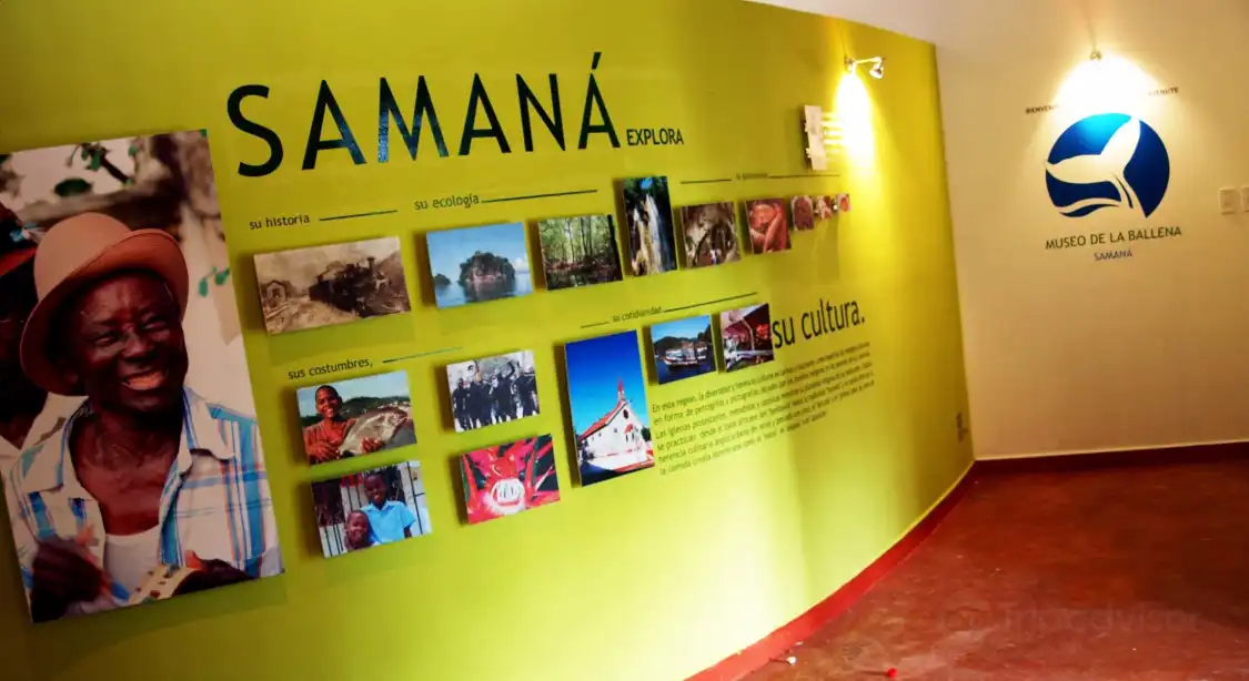 Hotels near Whale Museum of Samana / Nature Center
