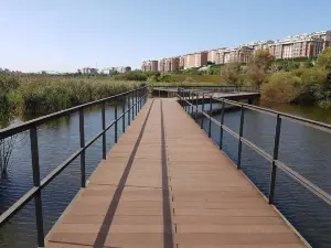 アトランティコ・デ・ラス・リャマス公園