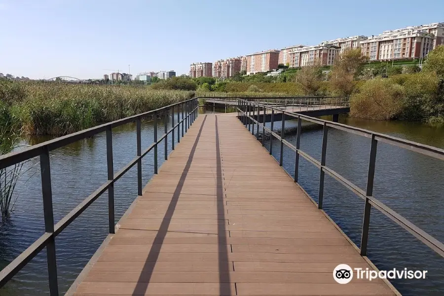 Parque Atlántico de Las Llamas