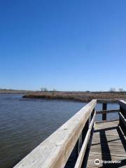 John Bunker Sands Wetland Center