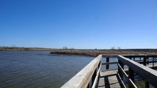 John Bunker Sands Wetland Center