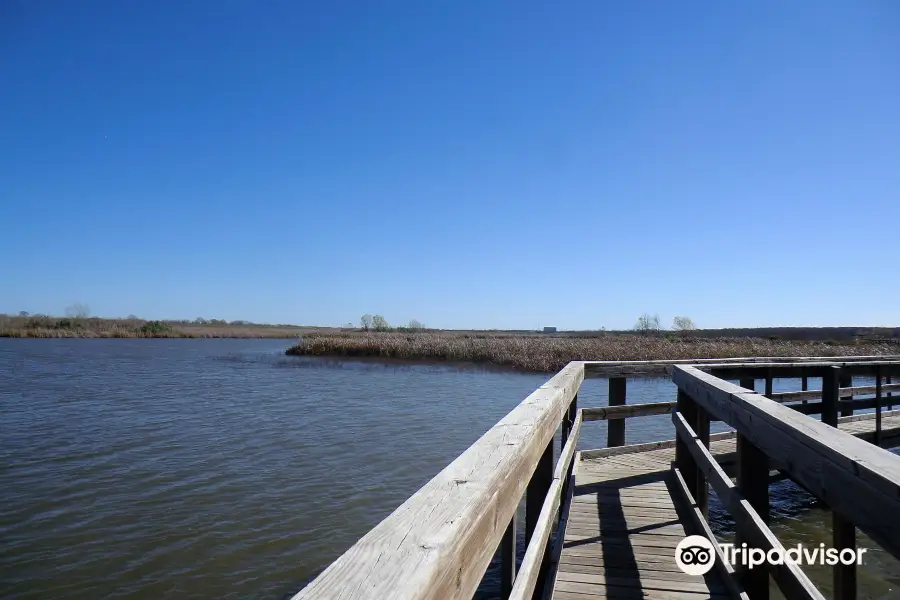 John Bunker Sands Wetland Center