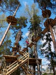 Treetop Adventure Huippu