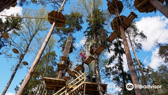 Treetop Adventure Huippu