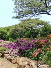 Pua Mau Place Arboretum & Botanical Garden