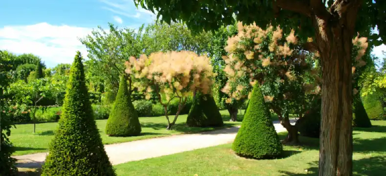 Hotels in Pertuis