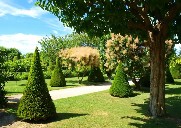 Hotels in Pertuis