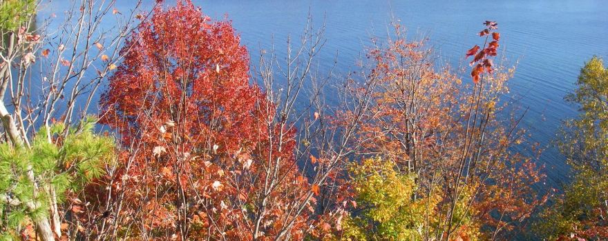 Charleston Lake Provincial Park