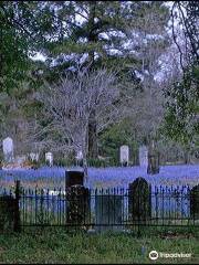 Old City Cemetery