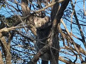 ボート・マウンテン保護公園