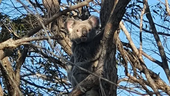 ボート・マウンテン保護公園