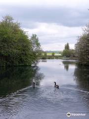 Manningford Trout Fishery