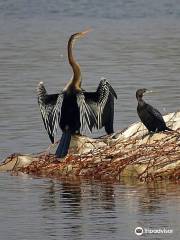 Yamuna Biodiversity Park