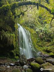 Cascadas de Cariacu