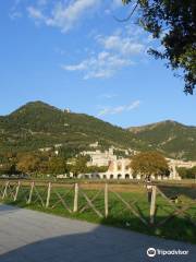 Umbria by Bike