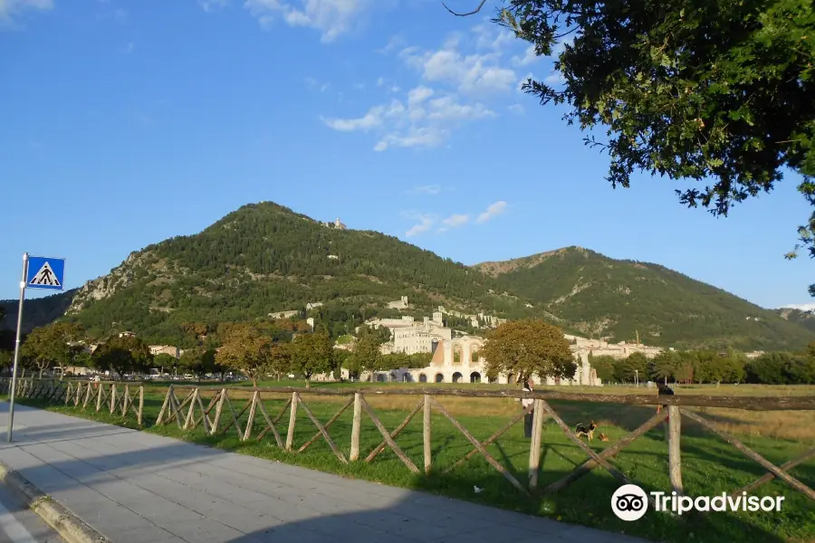 Umbria by Bike