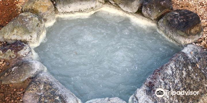 Obama Hot Spring