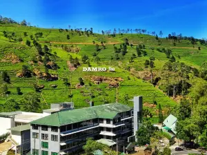 Damro Tea