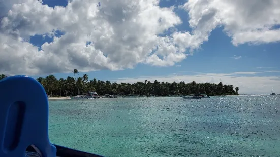 Catalina Snorkeling by Saona Dreams