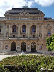 Teatro de los Celestinos