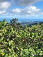 El Yunque Peak