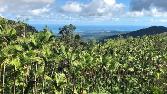 El Yunque Peak