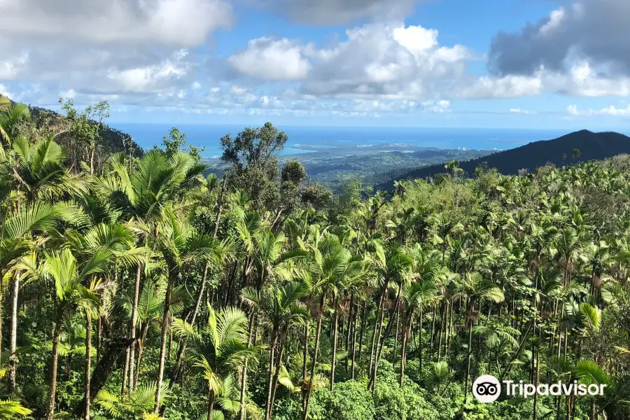 El Yunque Peak