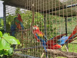 Safari Eco Park