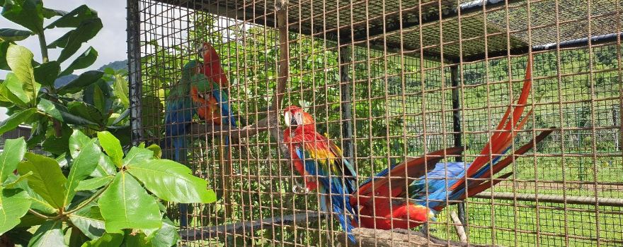 Safari Eco Park