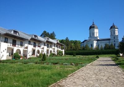 Tulcea