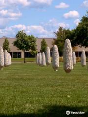 Field of Corn