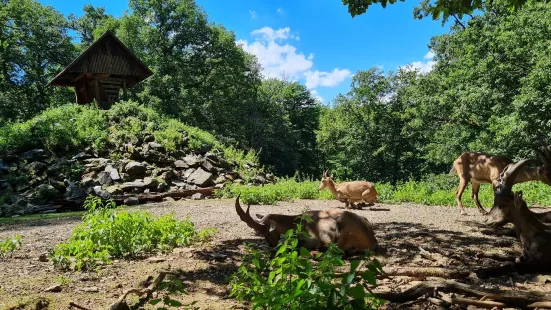 Wildlife park "Tiergarten Weilburg"