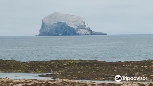 Bass Rock