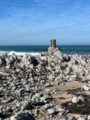 Stony Point Penguin Colony