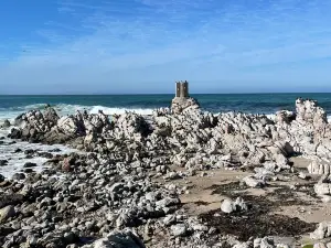 Stony Point Penguin Colony Entrance