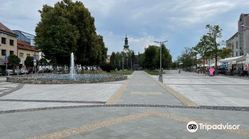 Fountain on the SNP Square