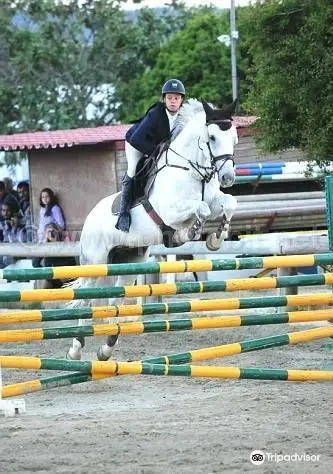 Equestrian Training Center of Rhodes‬