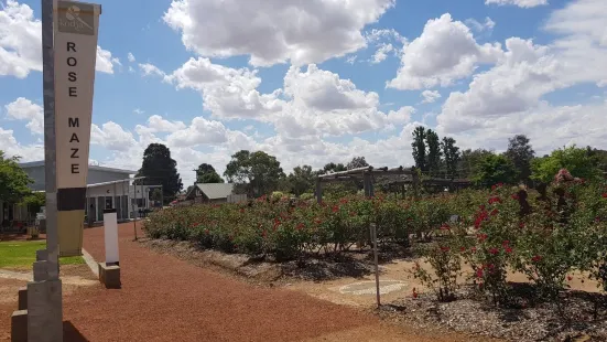 The Kodja Place Rose Maze