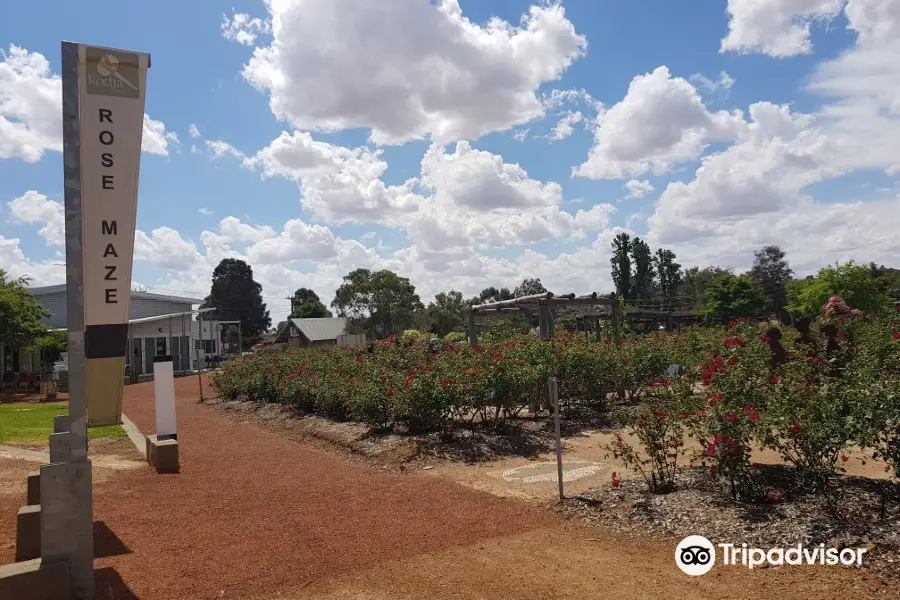 The Kodja Place Rose Maze