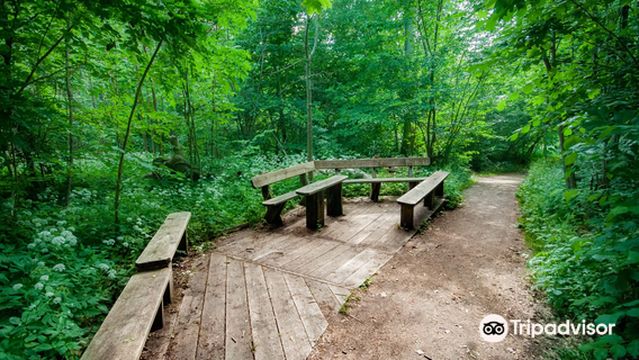 Dalby Söderskog National Park