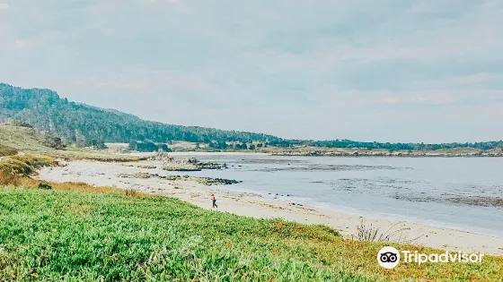 卡梅爾城市海灘