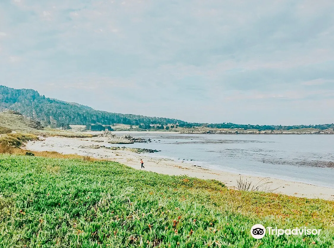 Carmel River State Beach