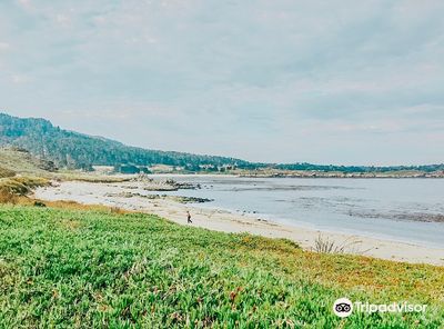 Carmel River State Beach