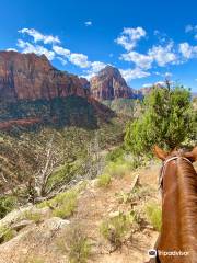 Canyon Trail Rides