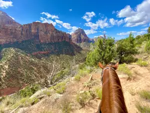 Canyon Trail Rides