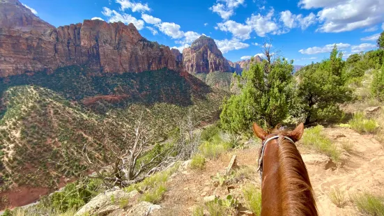 Canyon Trail Rides