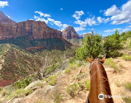 斯普林代爾 自由行套票