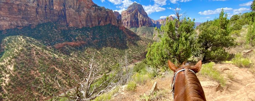 Canyon Trail Rides