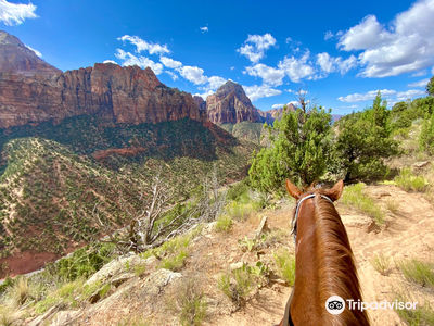 Canyon Trail Rides