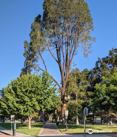 Paso Robles